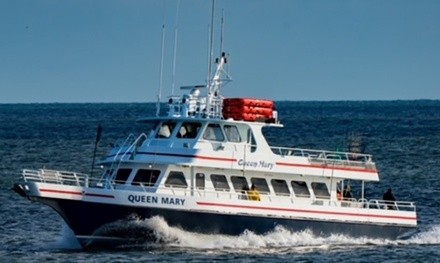 Three-Hour Whale & Dolphin Watching Cruise from Queen Mary Fishing Boat (Up to 39% Off). Four Options Available.