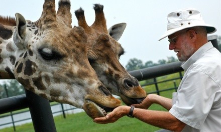 Single-Day Admission for Two, Three, or Four to Safari Niagara, Through October 11 (Up to 26% Off)