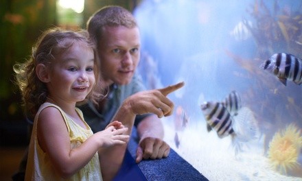 Up to 35% Off on Aquarium Visit ​at Sea Quest Interactive Aquarium Fort Wort
