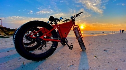 Up to 20% Off on  Electric Bicycle/E-bike Rental at Tampa Bay eBikes