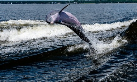 $20 for Dolphin Cruise for One at Caribe Marina ($25 Value)