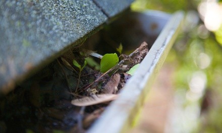 $199 for Gutter-Cleaning Package for Up to 400 Linear Feet from High View's Seamless Gutters ($300 Value)