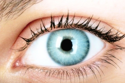 Up to 50% Off on Prescription / Glasses / Contact Lenses at Holistic Eye Center