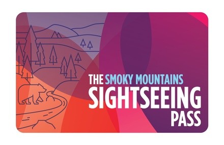 One Adult or Child NYC Flex Attraction Pass from The Sightseeing Pass Smoky Mountains