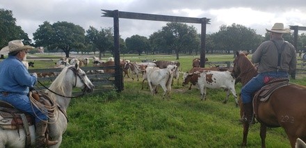 Admission for One, Two, or Four at George Ranch Historical Park (Up to 41% Off)