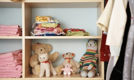 Up to 36% Off on Home Organization at ProSmart Kleen