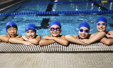 $98 for 10-Visit Limited Pool Membership at Twinbrook Swimming Pool ($133 Value)