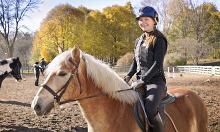 One or Three 30-Minute Private Riding Lessons at Saddle Brook Farm Animal Rescue (Up to 50% Off)