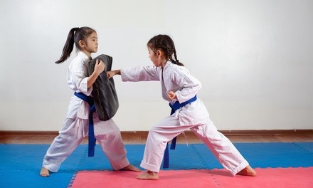 One-Month Unlimited Martial Arts Classes with Uniform at The Dojo (Up to 69% Off). Two Options Available.