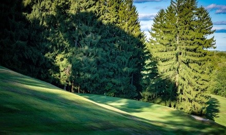 9-Hole Round of Golf with Cart at Sullivan County Golf & Country Club (Up to 18% Off). Two Options Available.