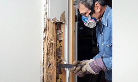 Up to 44% Off on Pest Control Service - General at ClearCut Pest Control Inc.