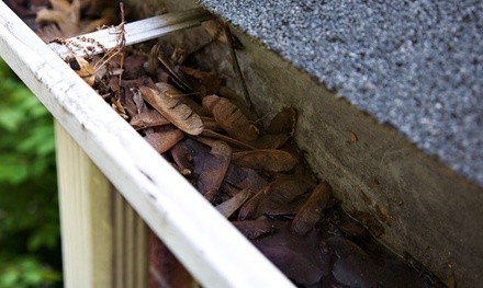 Up to 72% Off on Gutter Cleaning at Midwest Window Cleaning