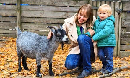 Up to 35% Off on Animal Petting or Swimming Pool at Highland Farm