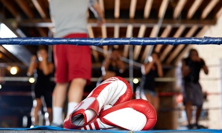 Up to 62% Off on Boxing / Kickboxing - Training at Wasatch Combat Sports