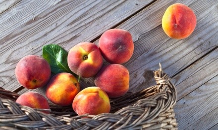 Peach Festival Admission for Two or Four with Peach Pie with Ice Cream on August 21, 2021 (Up to 30% Off)