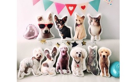 One Custom 3D Pet Pillow from Justyling (73% Off)
