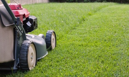 Up to 28% Off on Landscaping at Daniels Boy Lawn Service