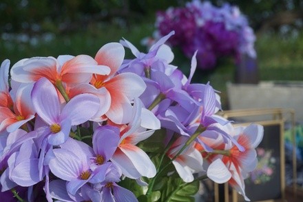 Up to 30% Off on Picnic Style Dining at Deserts Elegance Enchanted