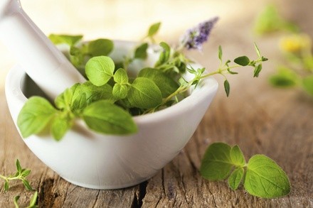 Up to 76% Off on Naturopathy at Tower of Health LLC