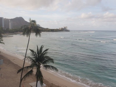 Up to 49% Off on Bus Transport Service at Hawaiian Island Transportation Services LLC.