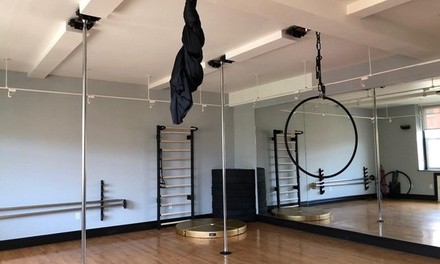 Up to 45% Off on Fitness Studio at Body Soul and Pole