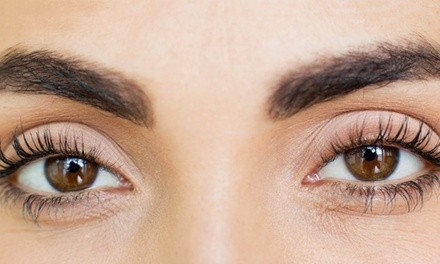 Lash Lift and Optional Tint at Sandy's Facial & Wellness (Up to 64% Off)