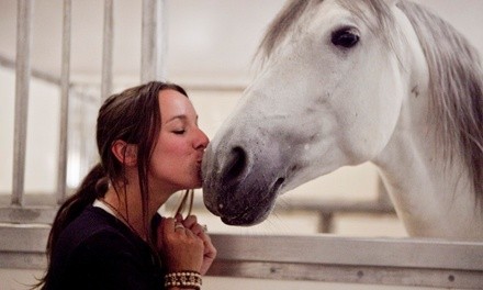 $110 for $200 Worth of Services — Pure Thoughts 