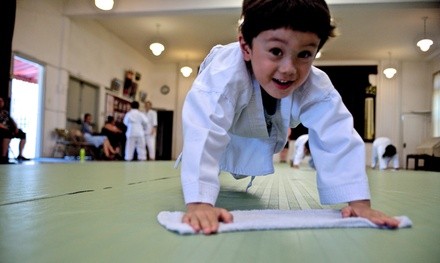 Up to 70% Off on Martial Arts Training for Kids at Aikido Kenkyukai