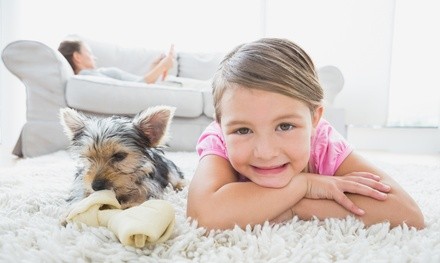 Carpet Cleaning for Home up to 2,500 sq ft from LiFeco (Up to 50% Off) 