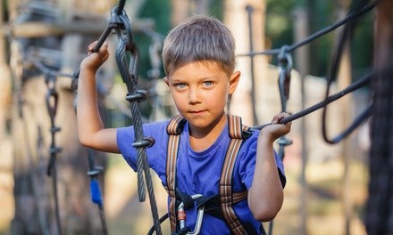 Kids' Rope Course for One or Two at Buffalo RiverWorks (Up to 23% Off)