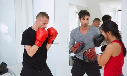 Up to 51% Off on Boxing / Kickboxing - Training at BTRAINERFITNESS Lincoln Park