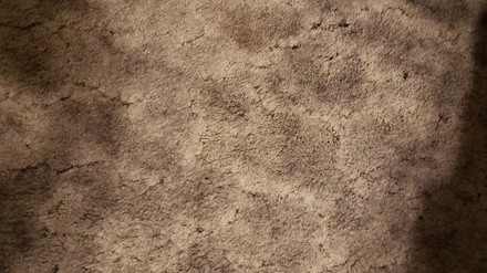 Up to 44% Off on Carpet Cleaning at Advantage Carpet Cleaning Services