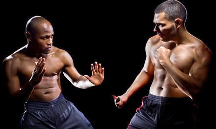 Up to 65% Off on Self Defense Course at APLEA Training Academy