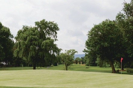 $94 For 18 Holes Of Golf Including Carts For 4 (Reg. $188)