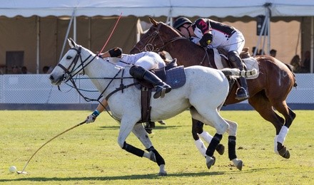 The Polo Party: Bentley Scottsdale Polo Championships on Saturday, October 23 at 10 a.m.