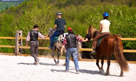 Horse Riding Lessons at Essential Equestrian (Up to 56% Off). Six Options Available.