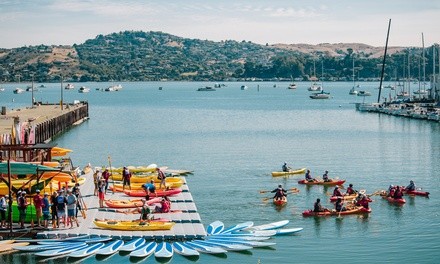 Two-Hour Kayak or Paddleboard Rental for Two, Four, or Six at Sea Trek (Up to 10% Off)