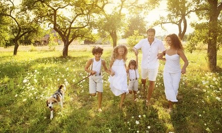 Up to 60% Off In-Studio or Outdoor Family with Pet Photo Shoot
 at Photography by Bel