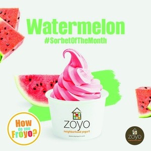 $10 For $20 Worth Of Frozen Yogurt Treats & More