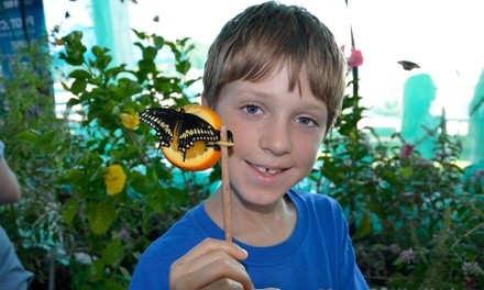 Admission to Northeast Tarrant County Kiwanis Club Butterfly Festival on September 11 or 12 at 9 a.m.