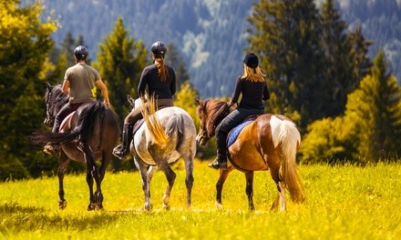 One or Three 60-Minute Horseback-Riding Lessons at Berreth Sporthorses. Four Options Available.