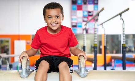 Up to 50% Off on Gymnastics (Activity / Experience) at Twisters Gymnastics
