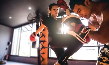 Two Weeks or One Month of Unlimited Kickboxing Classes at Reno Academy of Combat (Up to 57% Off)