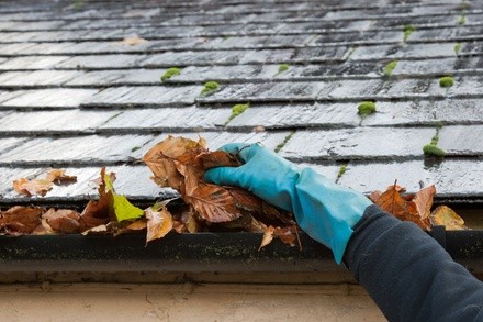 Up to 20% Off on Gutter Cleaning at Midwest Pros