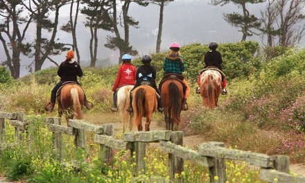 $75 for 90-Minute Trail and Beach Horseback Ride at Sea Horse Ranch Through April 30, 2022 ($100 Value)