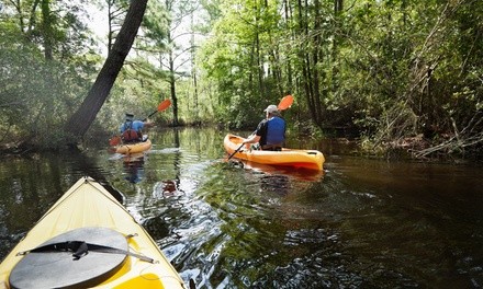 Up to 33% Off on Kayaking - Recreational at Beachbum kayak tours