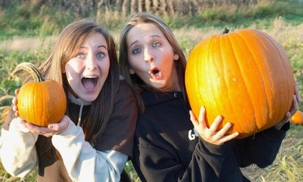 Corn Maze and Fun Park Package for Two or Four with Optional Apple Picking at Maize Quest (Up to 50% Off)
