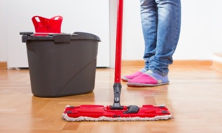 Up to 35% Off on House Cleaning at Dotty Commercial Cleaning