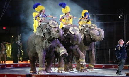 Carden International Circus Spectacular on October 5 at 6:30 p.m.