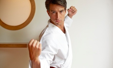 Up to 67% Off on Martial Arts Training at Ralph Gracie Pleasanton